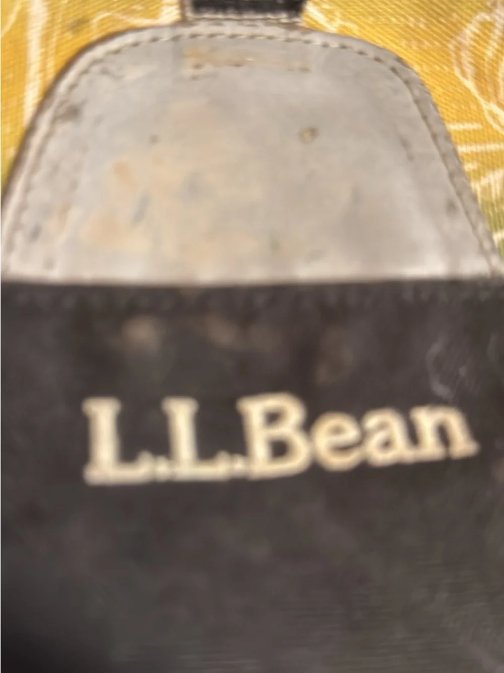 L.L. Bean Dinosaur Backpack